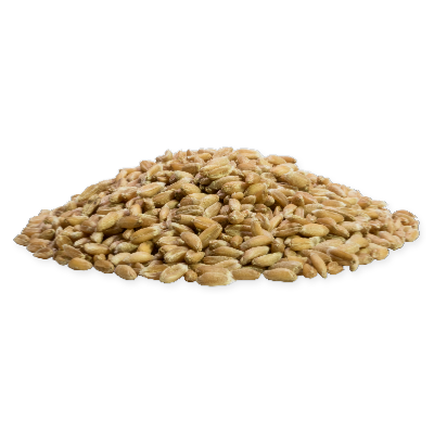 Grains d'épeautre BIO - 02 kg