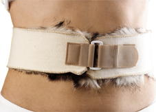 Ceinture de blaireau - Taille 75 cm