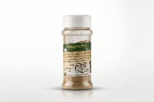 Gingembre BIO - POUDRE - 40 g - POT distributeur
