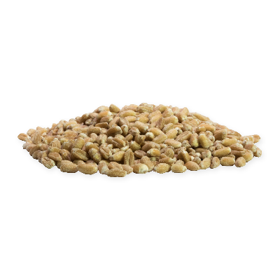 Kernotto (riz d'épeautre) - 2 kg