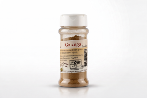 Galanga - POUDRE - 35 g - POT distributeur