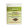 Pilogal+ - Comprimés GALANGA/FENOUIL - Boite 96 c - 25 g - Posch