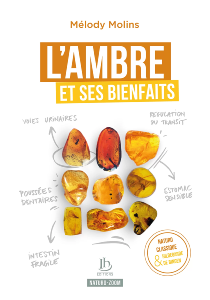 L'AMBRE ET SES BIENFAITS Éditions IH