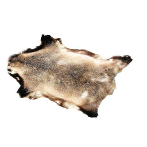 La peau de blaireau