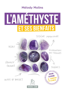L'AMÉTHYSTE ET SES BIENFAITS Éditions IH